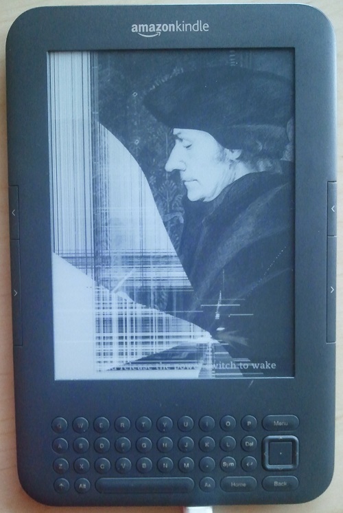 The newly fractured landscape of my kindle screen.
